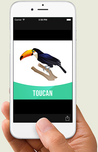 Download Animal Cards for Android